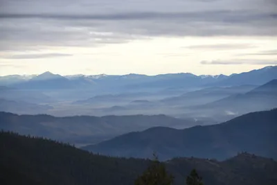 DSC_0096 (Large).JPG